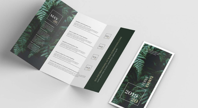 thiết kế brochure